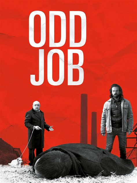 Odd jobs - Odd Jobs is a catch-all category to accomplish just about any project you can imagine. Typical odd jobs include tasks such as assembling furniture, organizing the garage, and packing for a move. Put another way however, given the name Odd, there may not be a typical Odd Job.